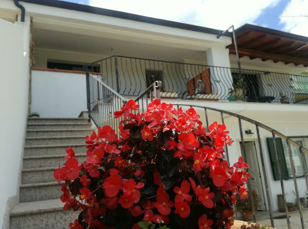 Apartmán Il Giardino Lotzorai Exteriér fotografie