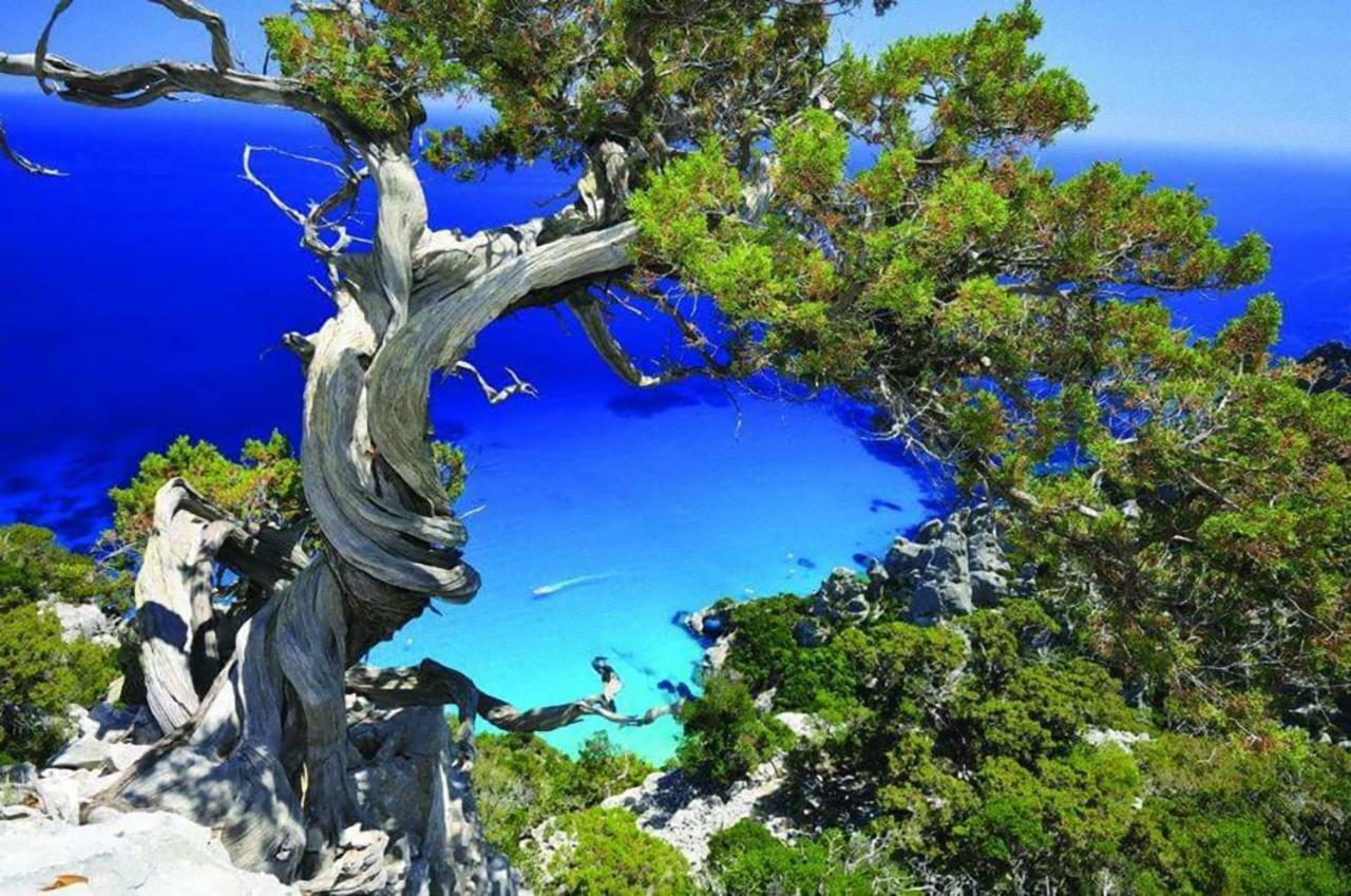 Apartmán Il Giardino Lotzorai Exteriér fotografie